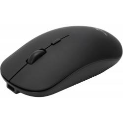 Bluestork -  Souris Sans...